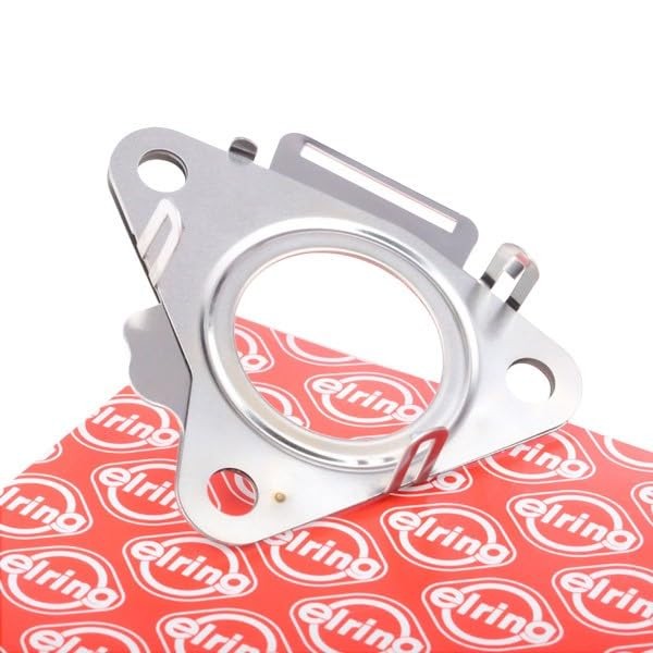 255.170 Gasket, Exhaust Pipe