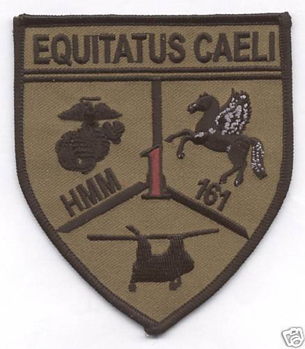 HMM-161 SUBDUED patch