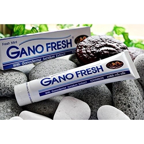 10 Boxes GANO EXCEL GANO FRESH TOOTHPASTE GANODERMA Free Shipping 150g