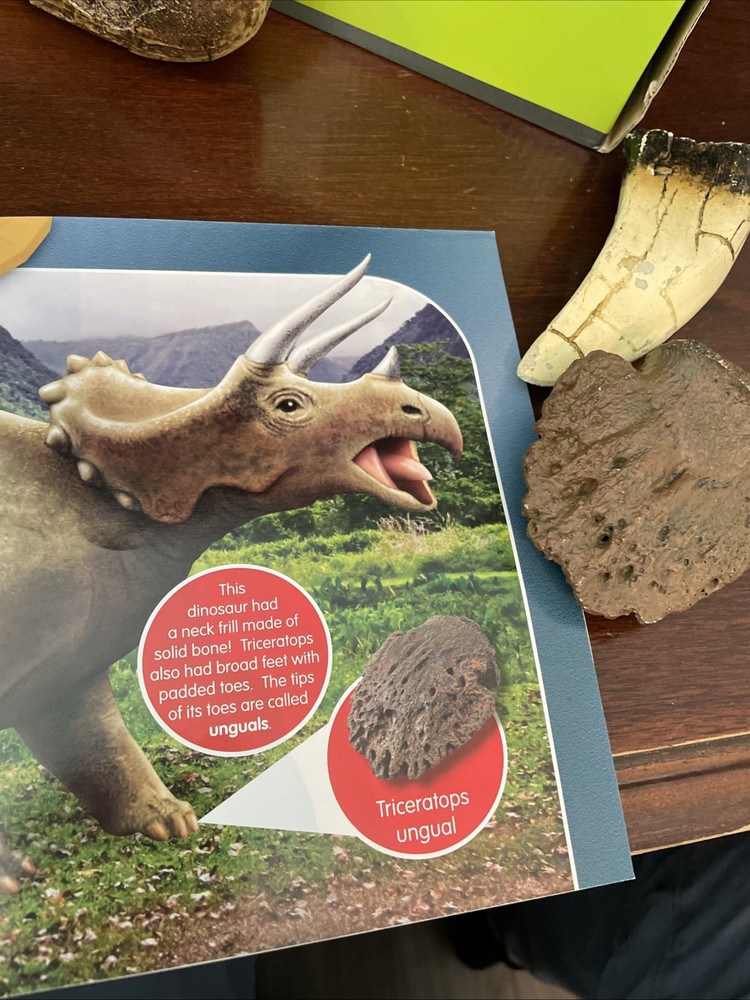 Amazing Dinosaurs! Exploration Kit Lakeshore Learning