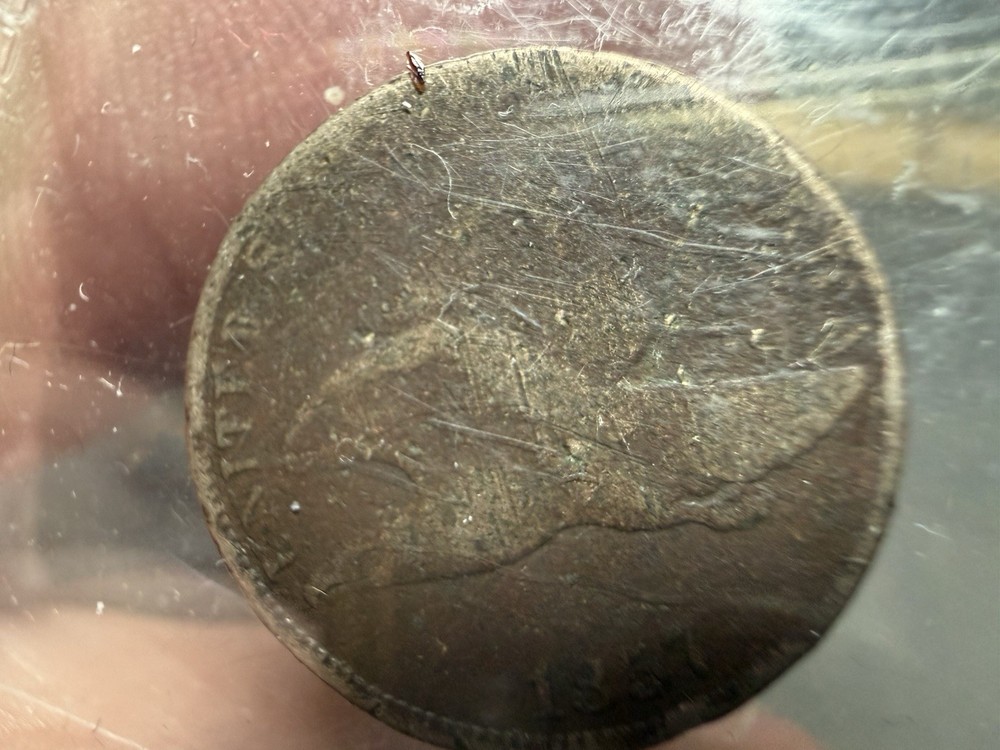 1857 1c Flying Eagle Cent Pair Set Lot Details Environmental Damage