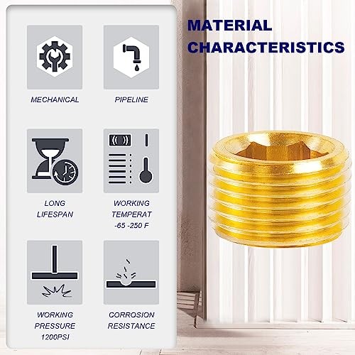 Brass Pipe Fitting Socket Pipe Plug Fitting Male 1/4" NPT Internal Hex Head