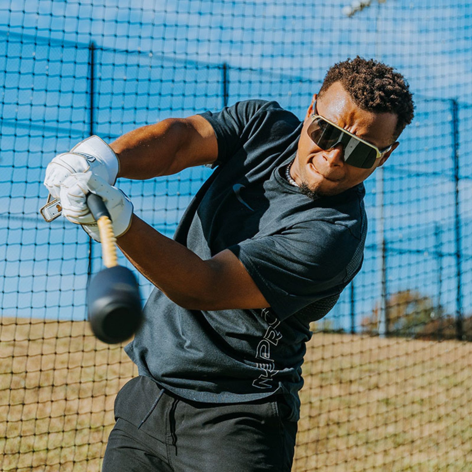 The Rope Bat - Baseball / Softball Swing Trainer w/ 12 Training Balls & Tote Bag