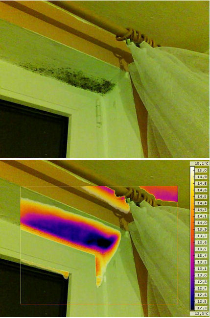 Thermal camera imaging software for FLIR cameras, may work for other models EU