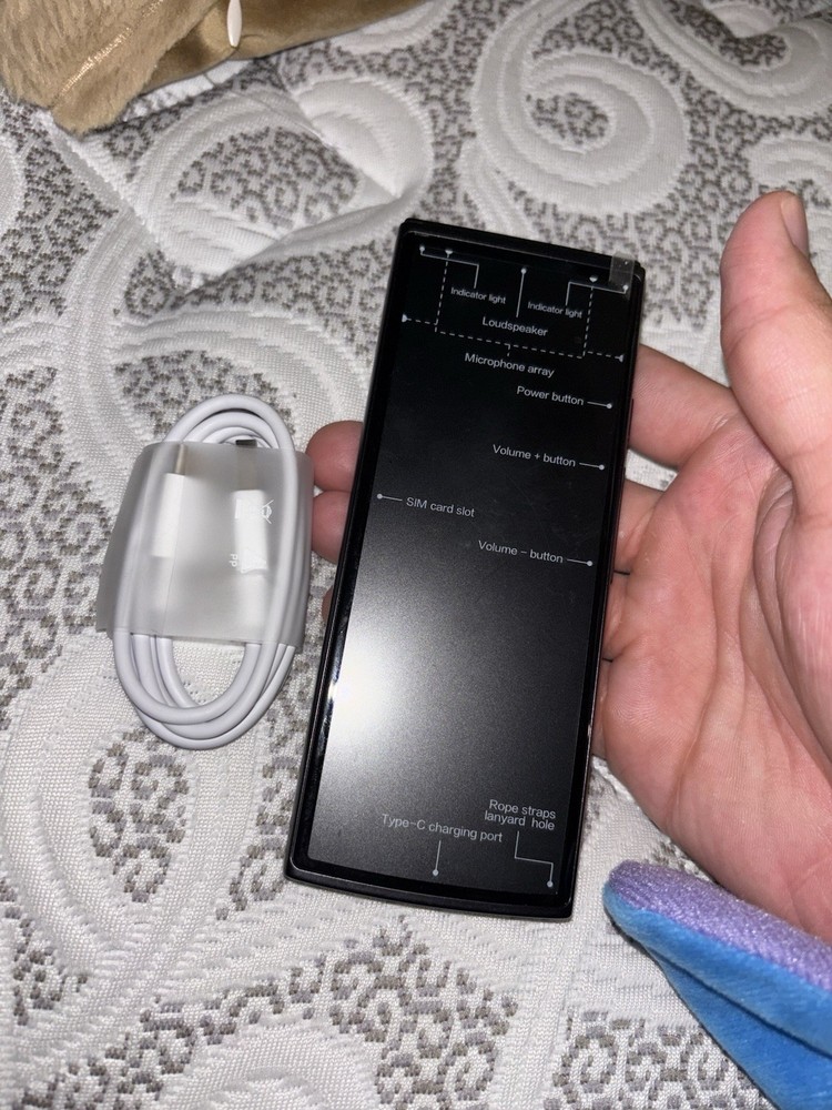 Flytek Ai Language Translater