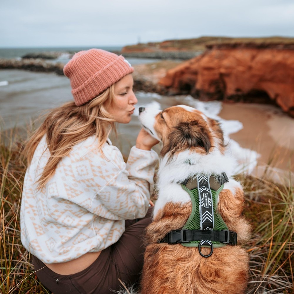 Lightweight Dog Harness with Reflective Straps - Medium - Olive