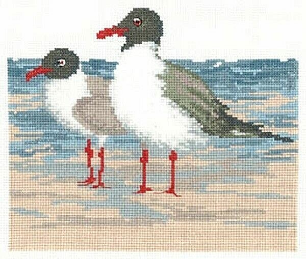 Laughing Gulls~Imaginating
