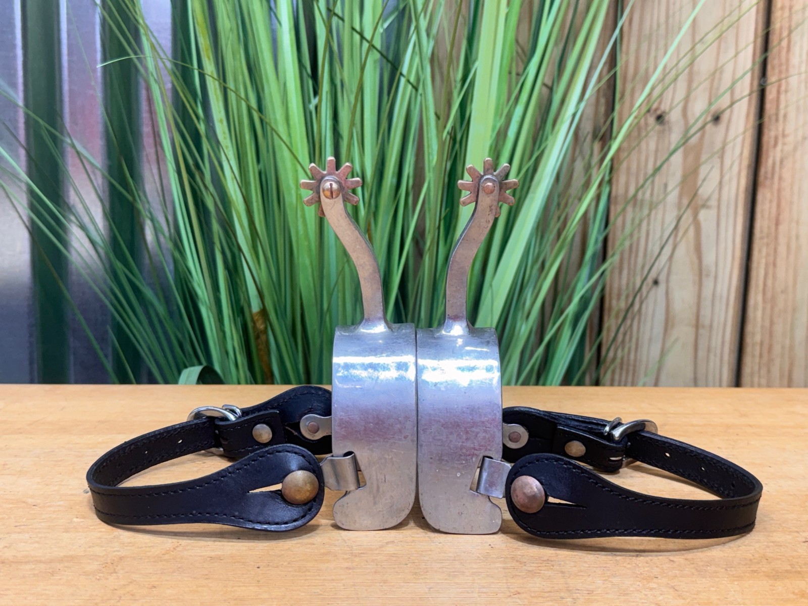 Long Shank Stainless Steel Western EQUITATION Spurs w Black Leather Straps