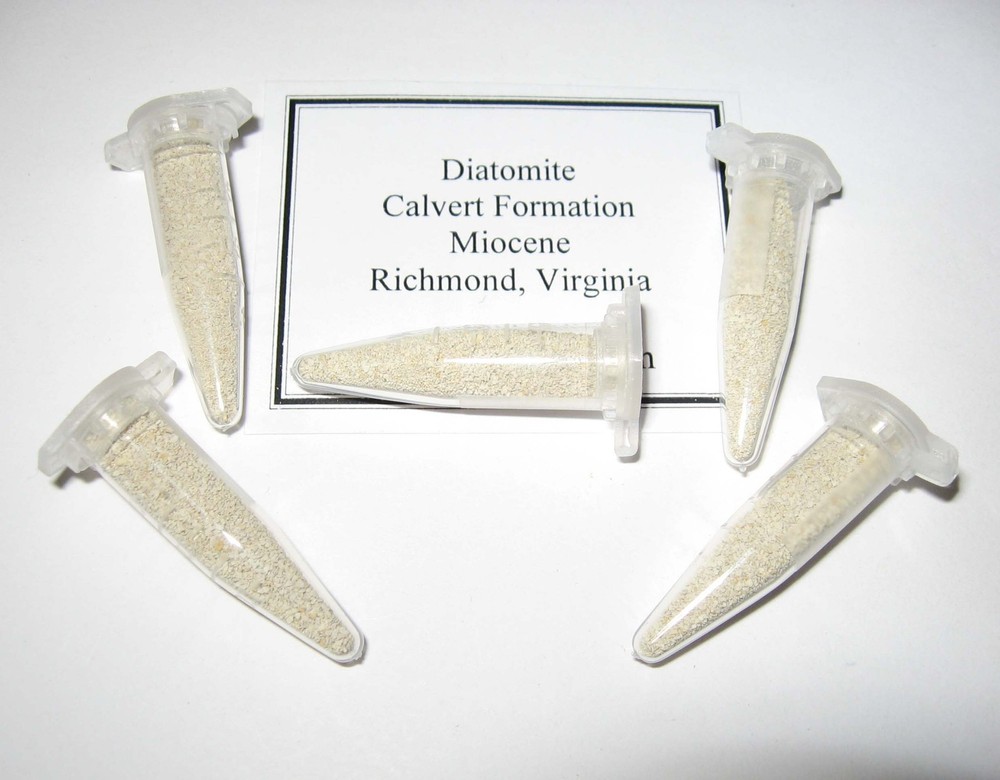 Diatomite Miocene Calvert Formation diatom microfossil matrix sample Virginia