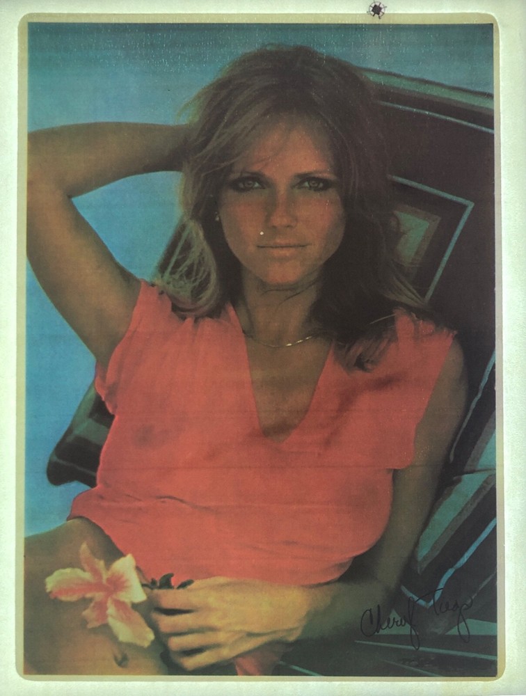 Original Vintage Cheryl Tiegs Iron On Transfer