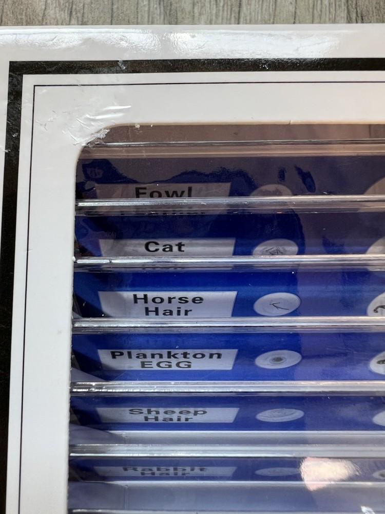 Prepared Slides Educational Type 12 Kinds