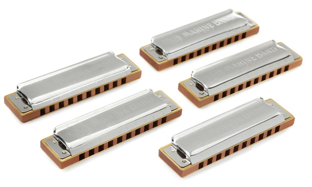 Hohner Marine Band 1896 5-piece Harmonica Set with Case (2-pack) Bundle