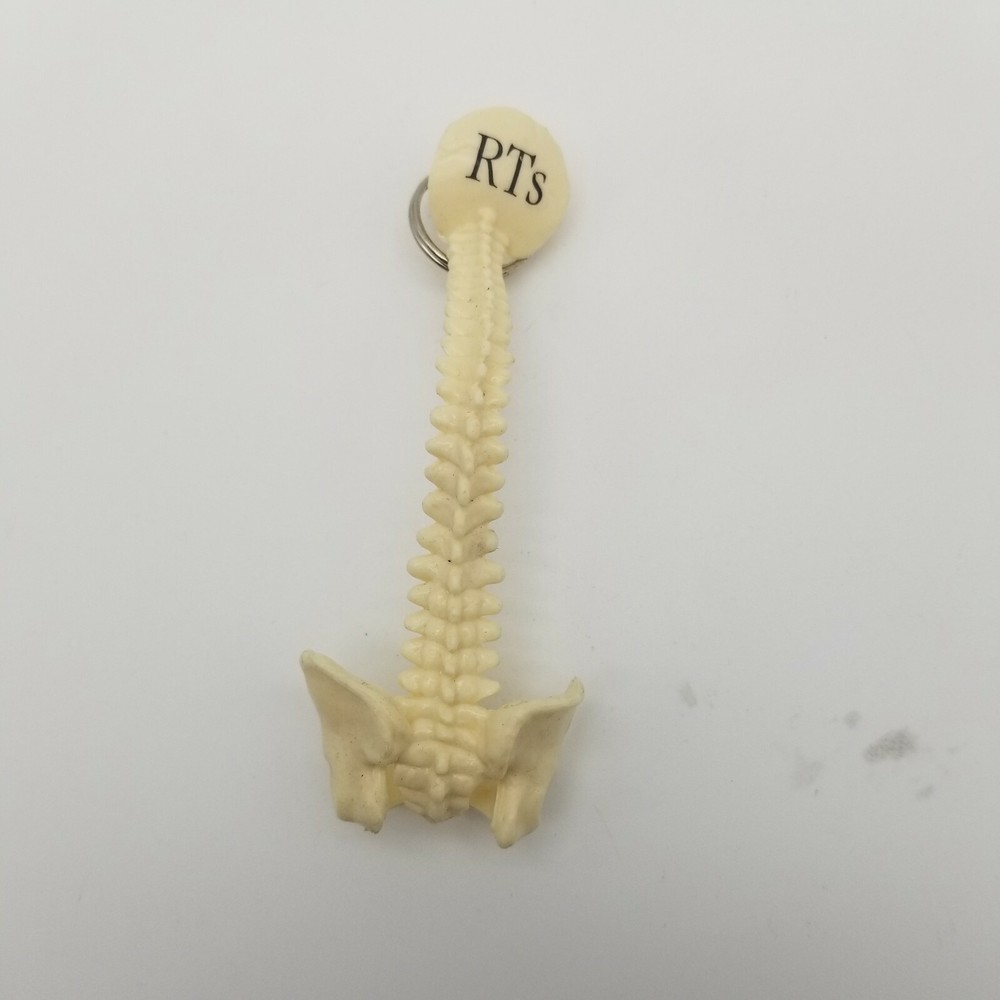 Vertebral Column Spine keychains