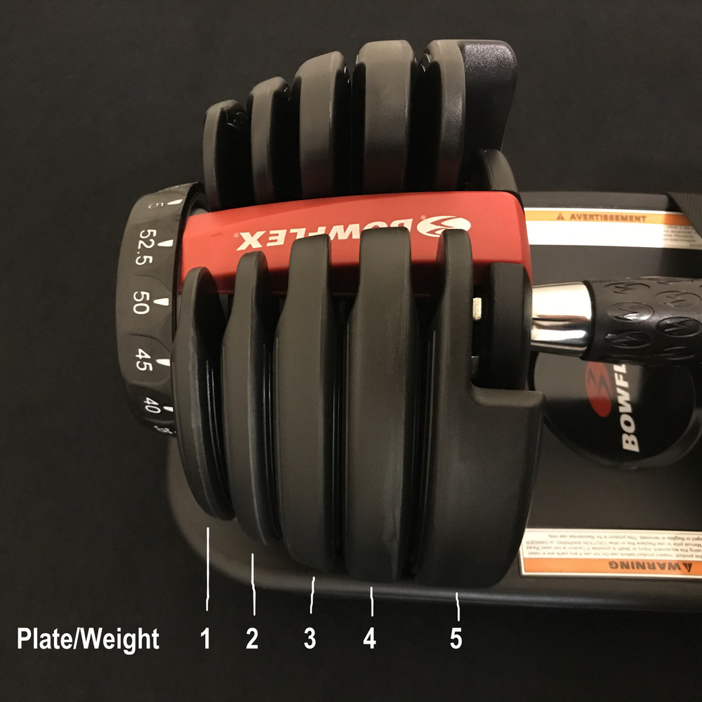 Bowflex SelectTech 552 Series 2 Dumbbell Replacement Weight Plate Set of Five