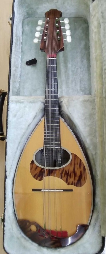 RAFFAELE CALACE CLASSICO C Mandolin