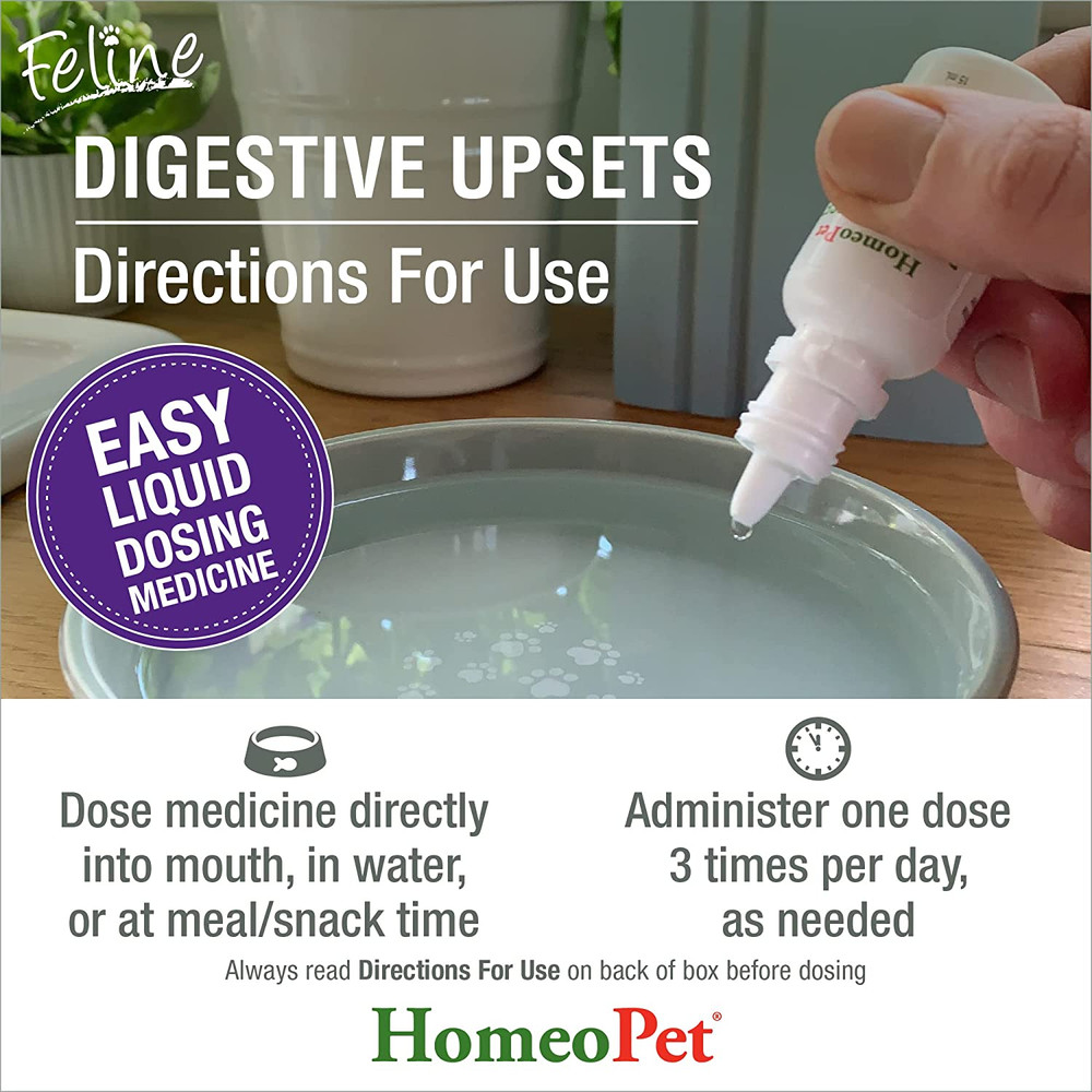 Feline Digestive Upsets, Natural Cat Digestive Support, Digestive Supplement for