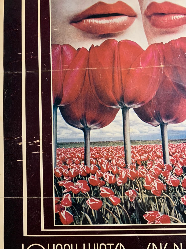 Vintage Fillmore West Rock Posters Johnny Winters