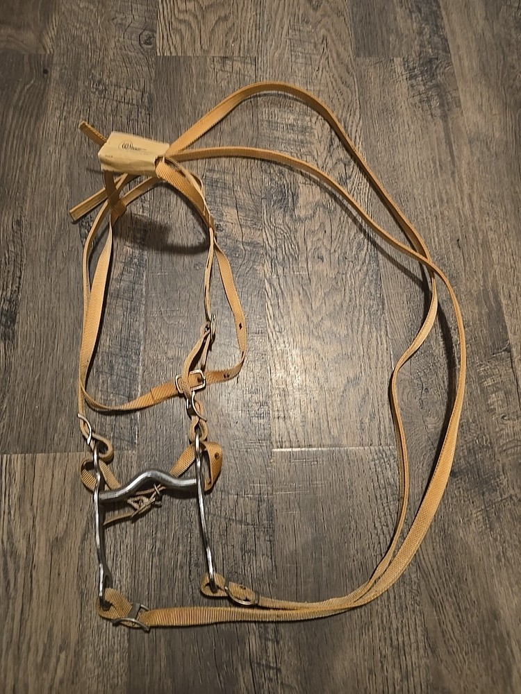 western bridle