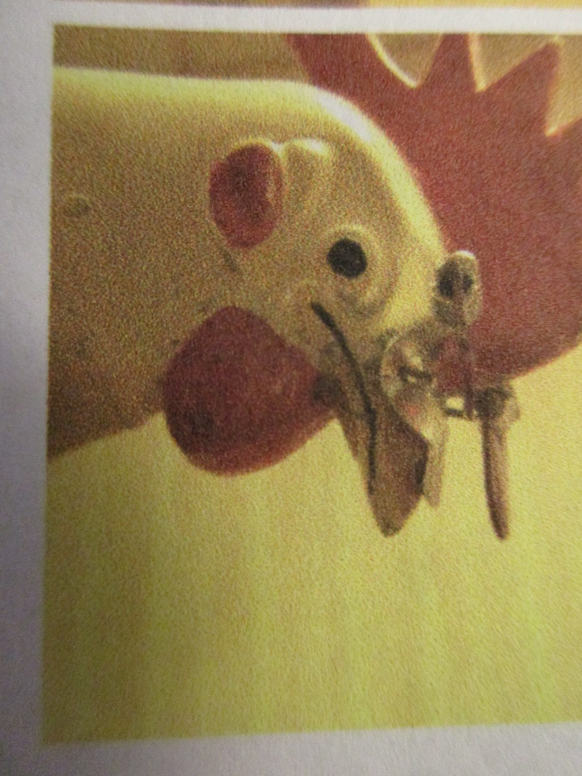 VINTAGE 1940's CHICKEN POULTRY RED GLASSES & PIN ANTI-PIX NATIONAL BAND & TAG CO