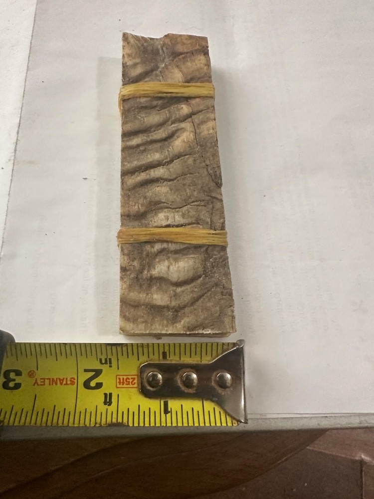 sheep horn knife handle blanks