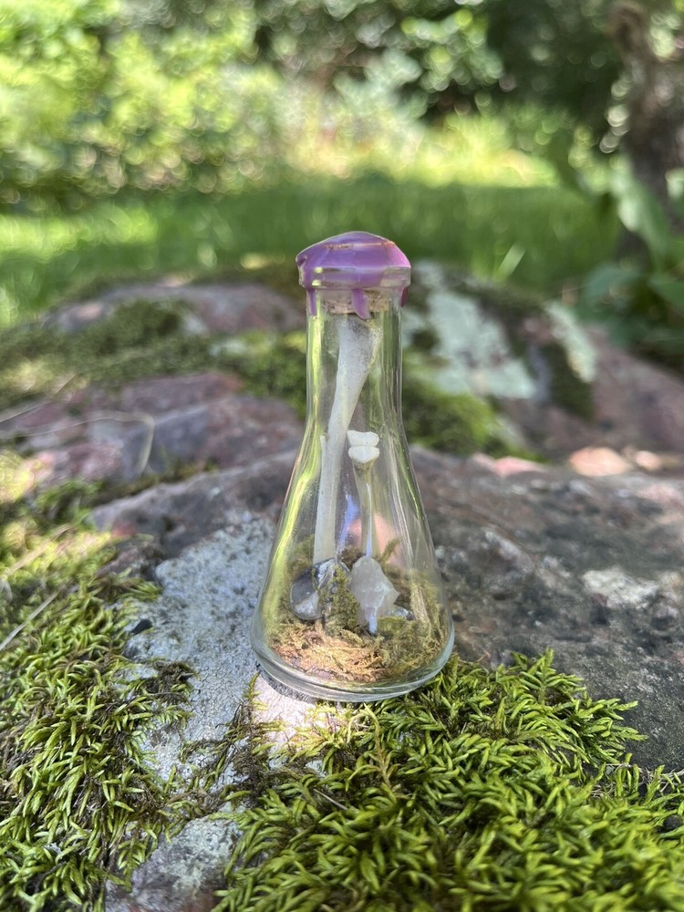 Bone Bottles