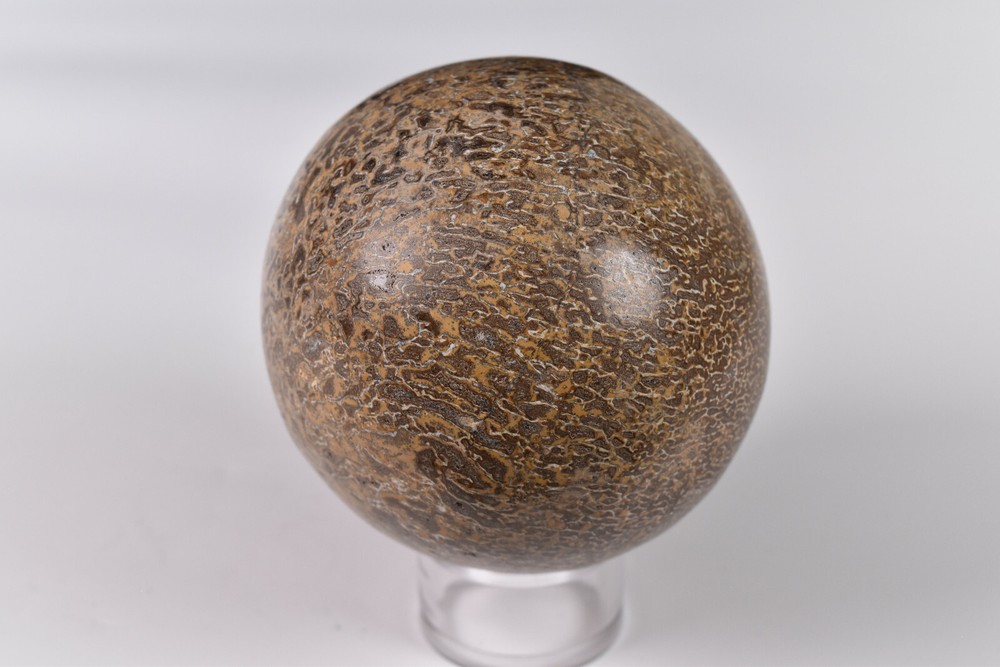 Dinosaur Bone Sphere from Morocco 7.2 cm # 20119