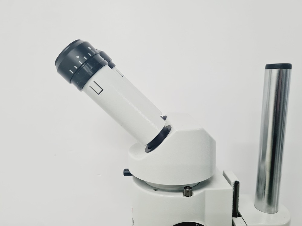 Leica M8 WILD Stereo Zoom Microscope Lab