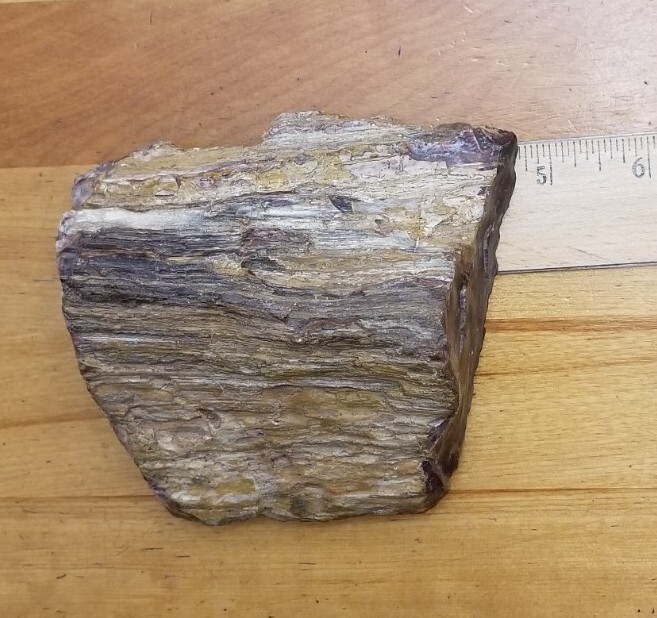 PETRIFIED WOOD 1.10 LBS