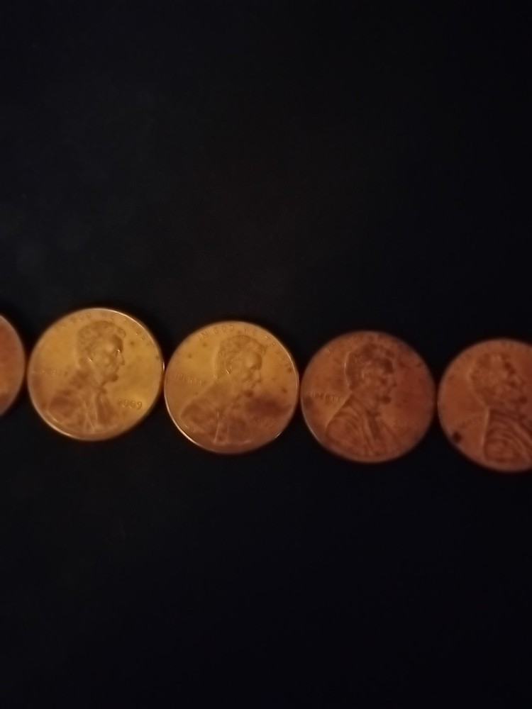 Lincoln Professional Life