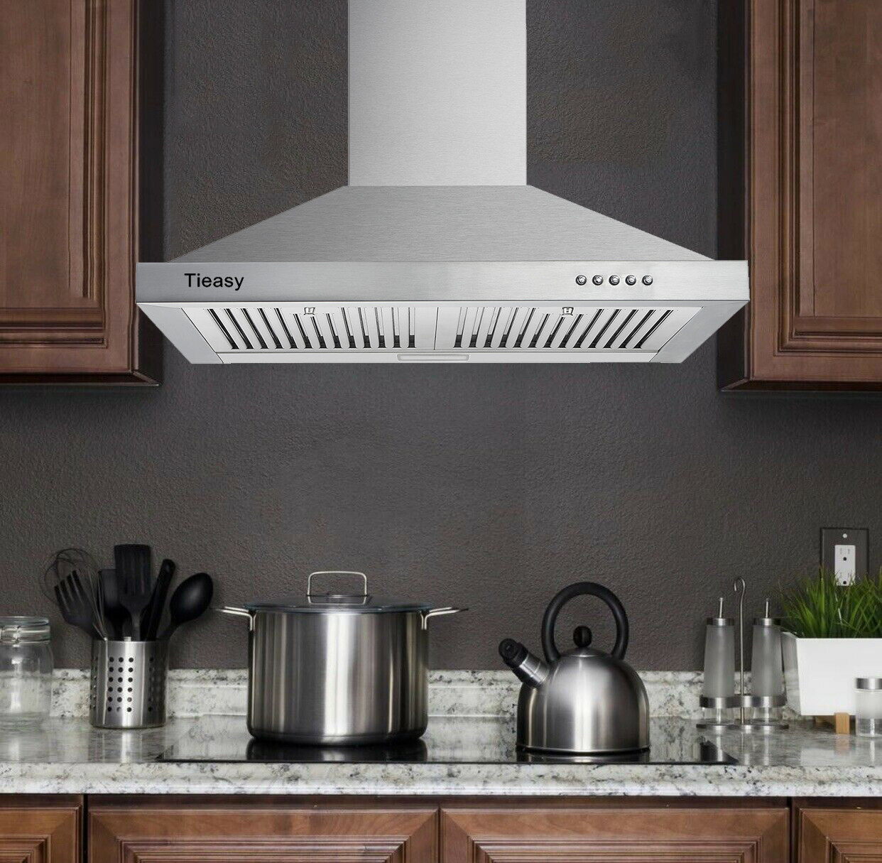 30" Wall Mount Range Hood Stainless Steel 450CFM Kitchen Over Stove Vent w/ LEDs