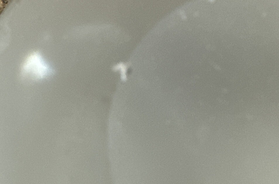 Frosted Glass Globe On Brass Stand
