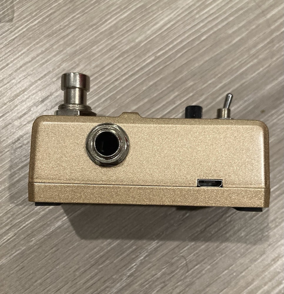 Rowin Loop Station Guitar Effect Pedal