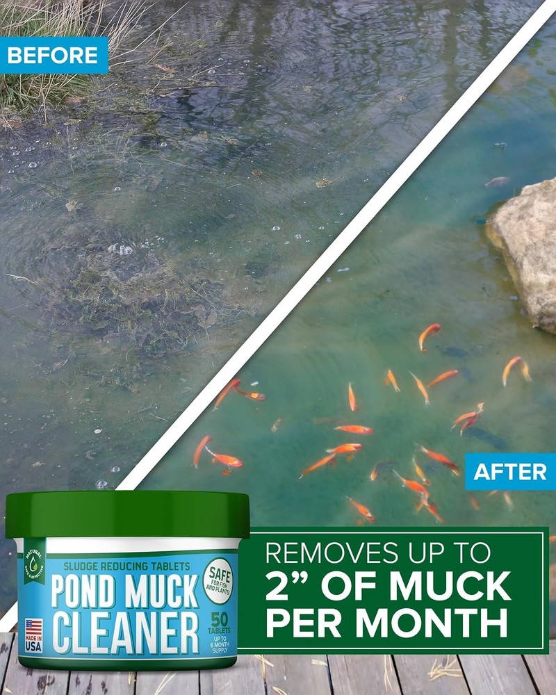 Pond Clarity Solution | Fish | Sludge Dissolver for 50