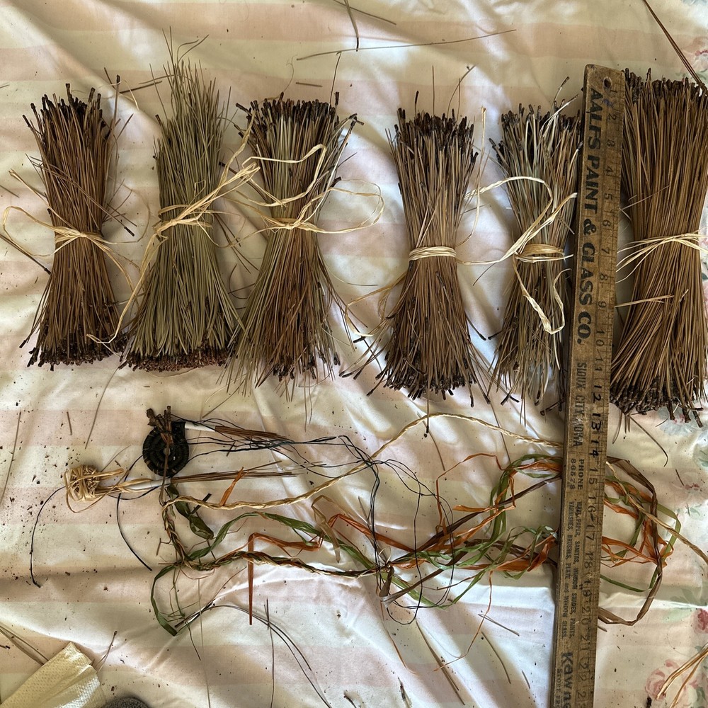 Over A Pound n Half Pine Needles Braid Coil Long Baskets Crafts Dry Tennesee