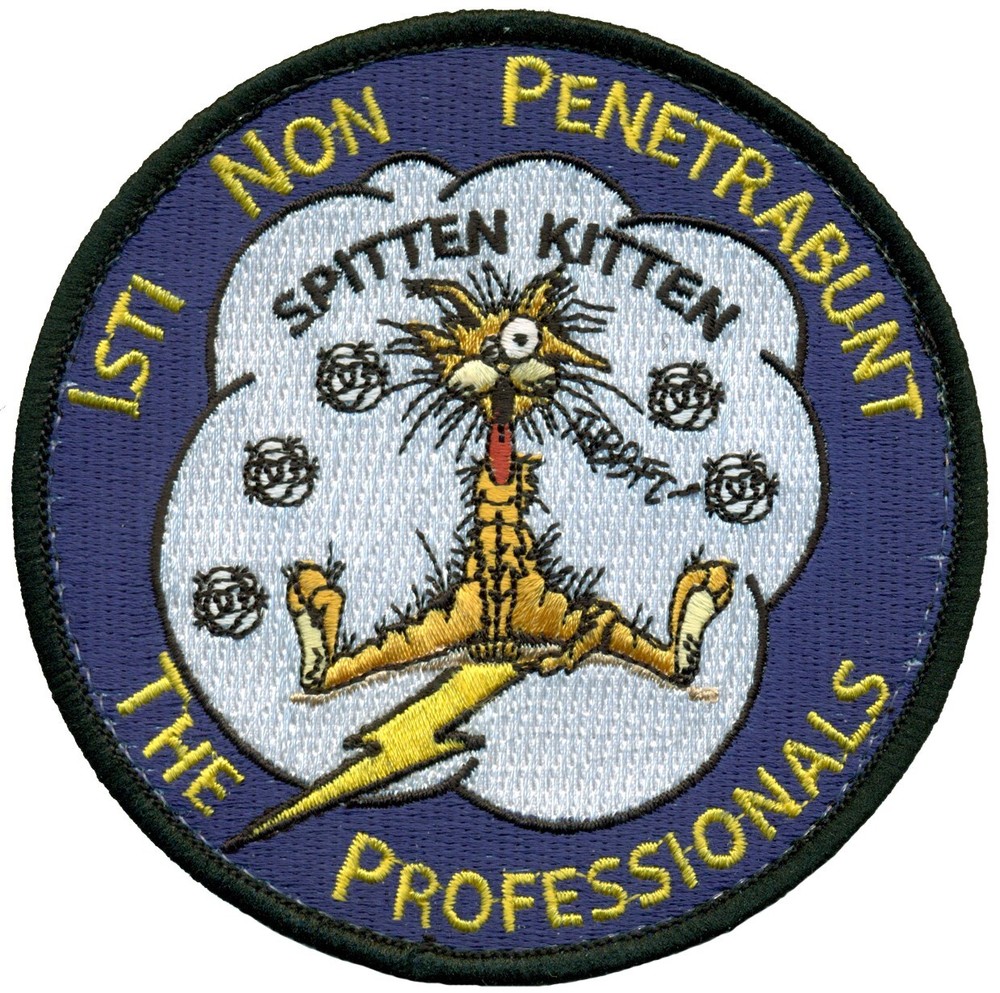 USAF 5th FLYING TRAINING SQUADRON PATCH - THE PROFESSIONALS