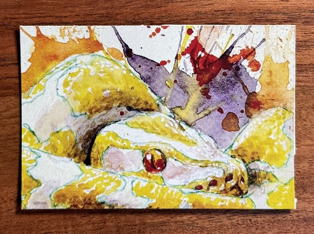 ACEO Print Python Snake PEEK A BOO Art by Andy Aby