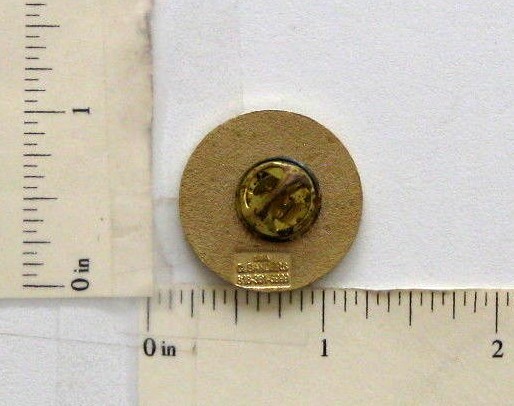 1996 North Carolina Coal Institute Lapel Pin NCCI 50th Anniversary C Sanders STS