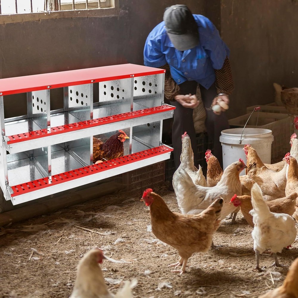 Chicken Nesting Boxes,8 Compartment Nesting Boxes for Chickens