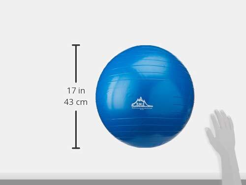 Static Strength Exercise Stability Ball with Pump 2000 lb/75cm Blue
