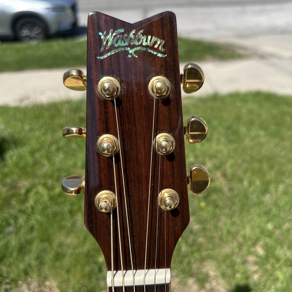 Washburn D10SCE DLK w/ case