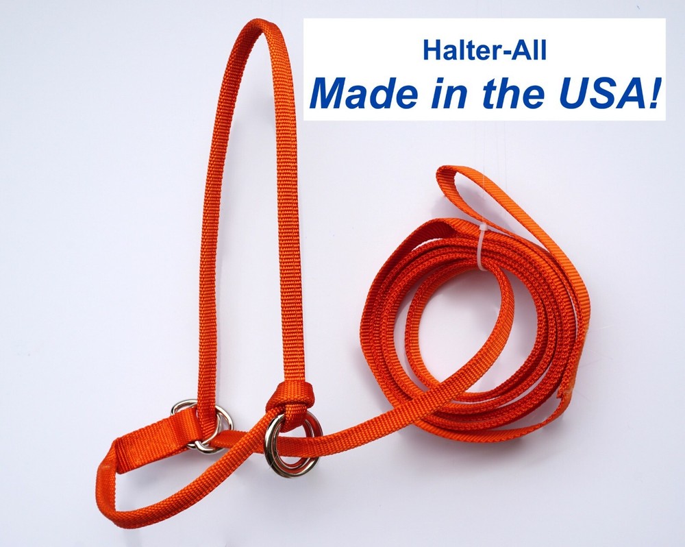 Halter All EXTRA LARGE Draft Endless Adjustable Halter & Lead - 20 colors! USA