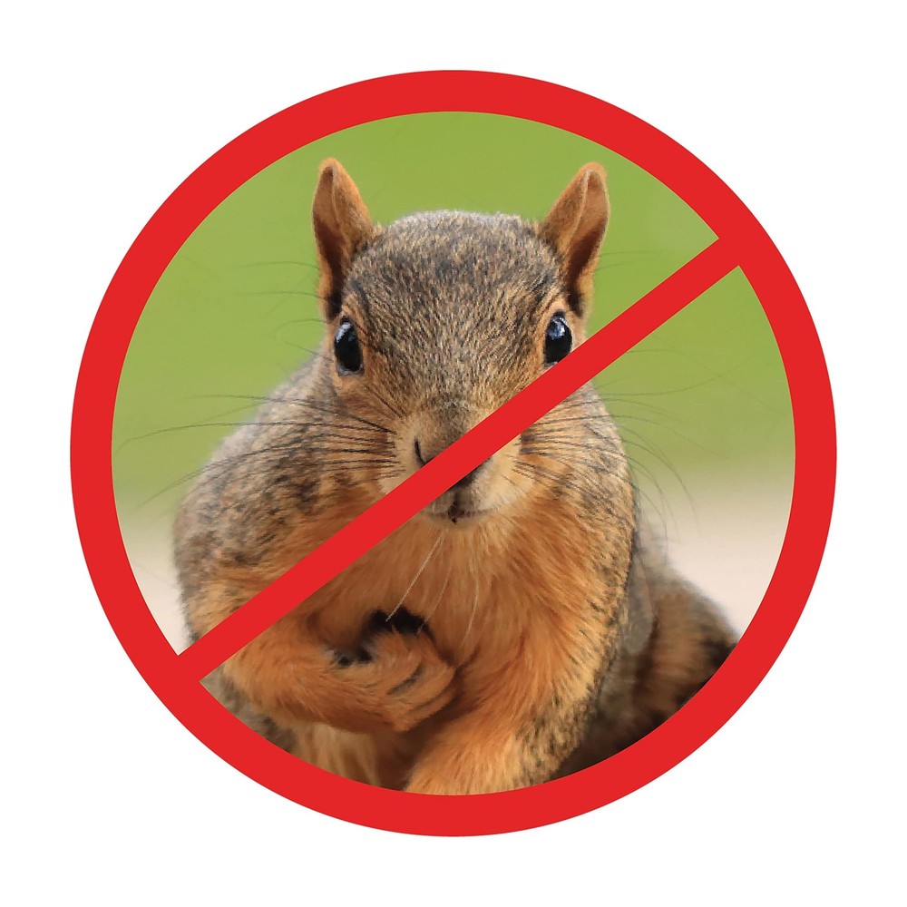 Scram, Squirrel by , Squirrel-Proof Bird Feeder Accessory that Guards Bird Se...