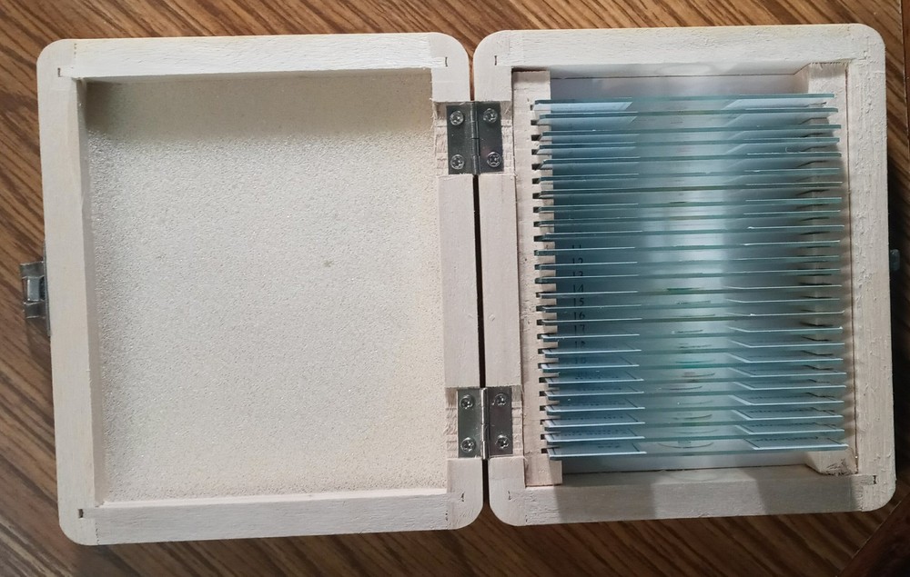 Amscope Prepared Slides 25 Count Science Microscope