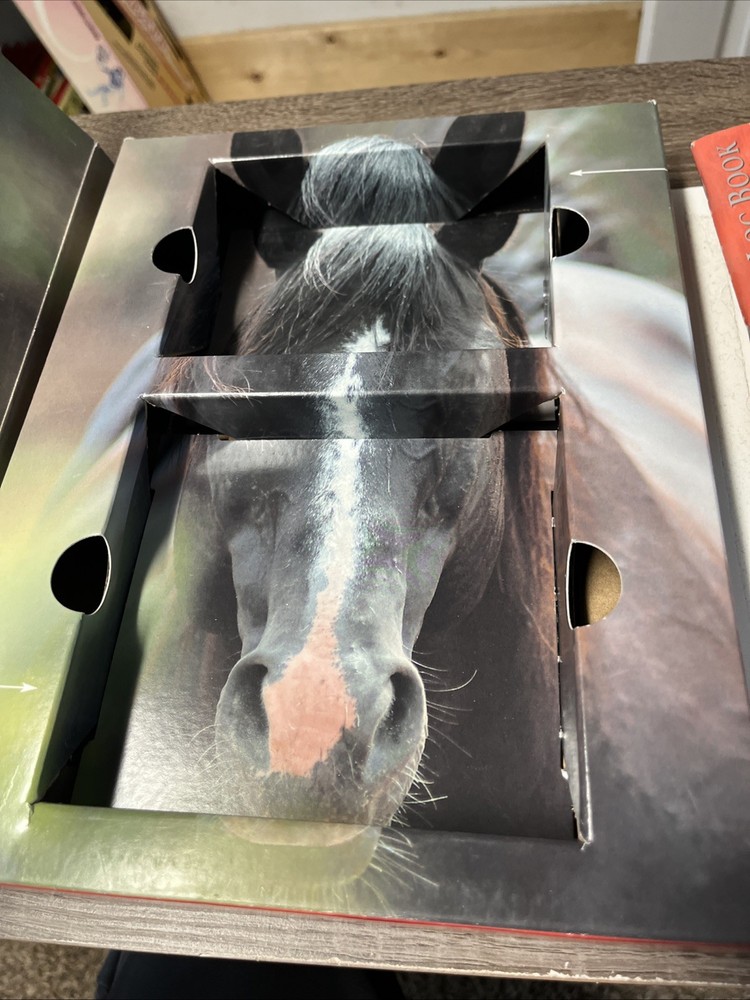 Parelli Partnership Level 1 Training Natural Horsemanship Program Set. Read.