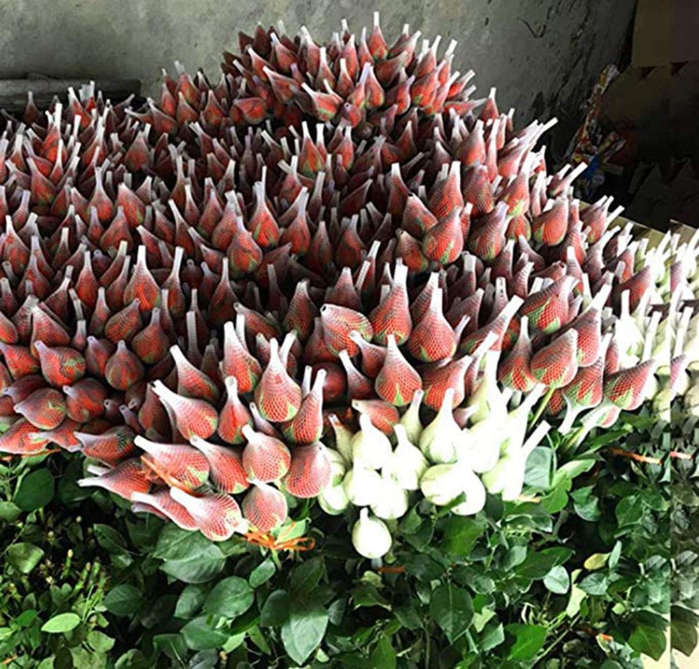 40 Yards Threads Spool Net, Spool Net Sewing Net Thread for Spools - Cut Into...