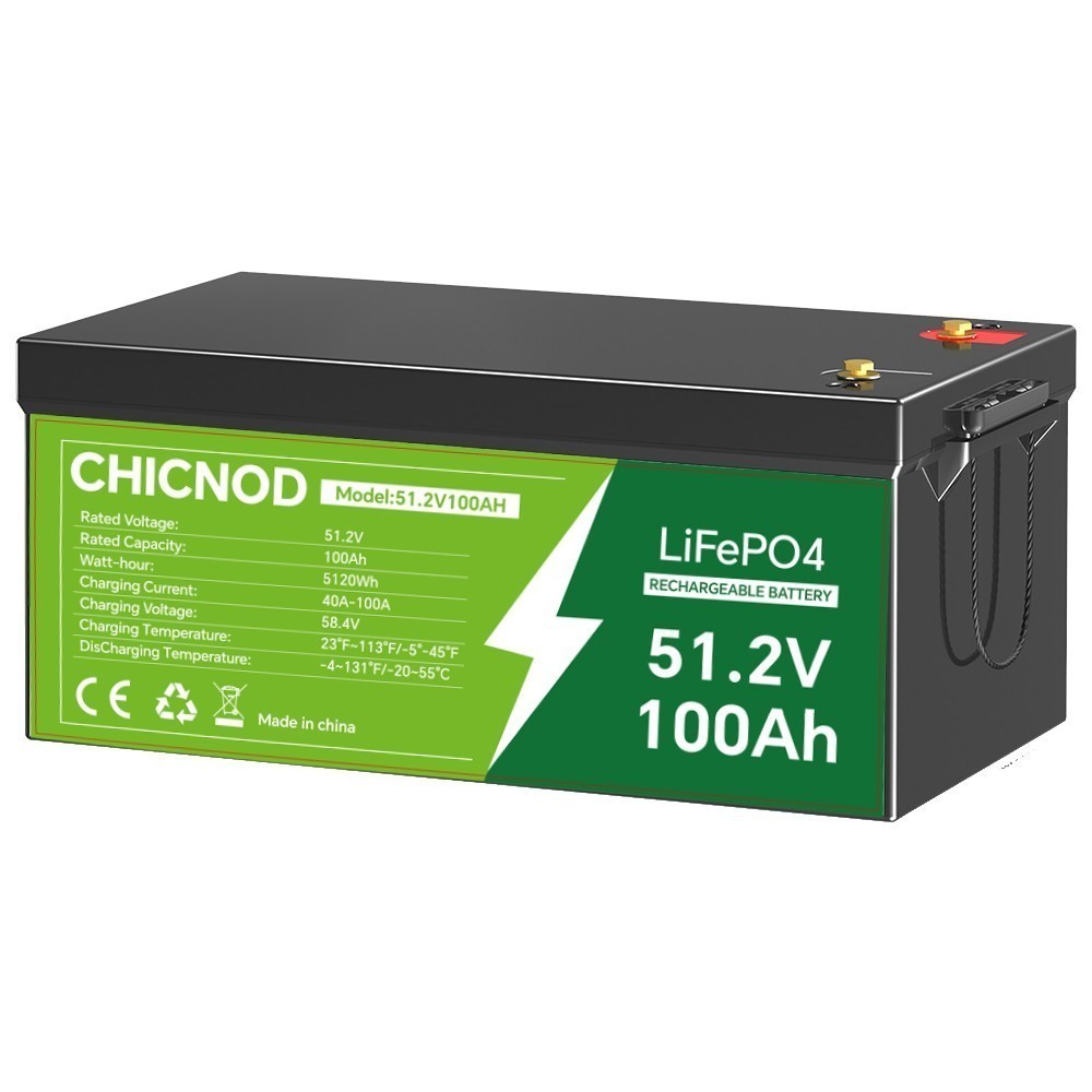 48V 100Ah LiFePO4 Lithium Battery Bluetooth BMS with Charger For Solar Camp RV