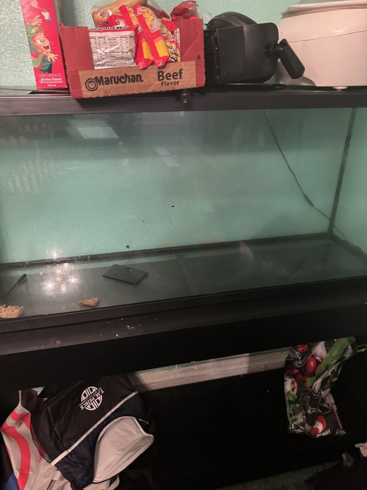 Fish Tank
