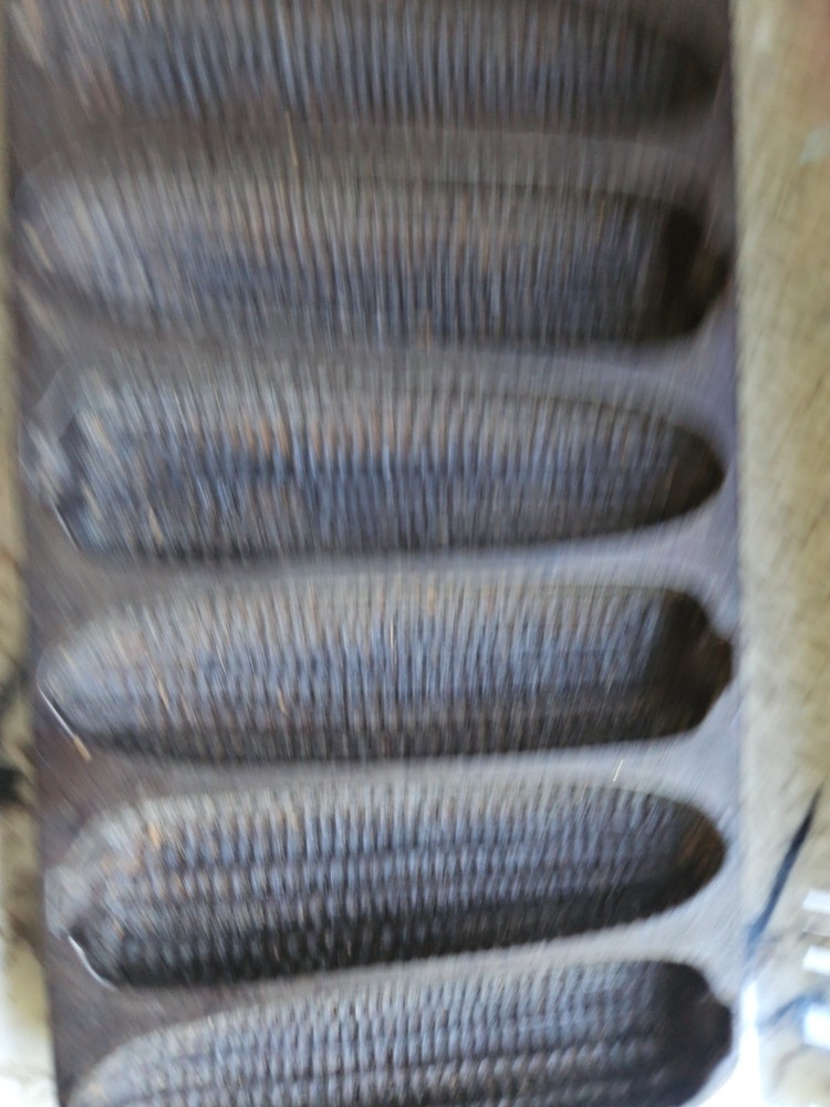 Wagner Iron Corn Bread Pan