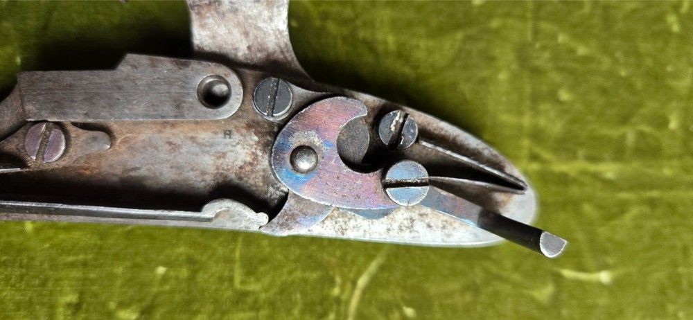 Percussion Lock Springfield Model 1855