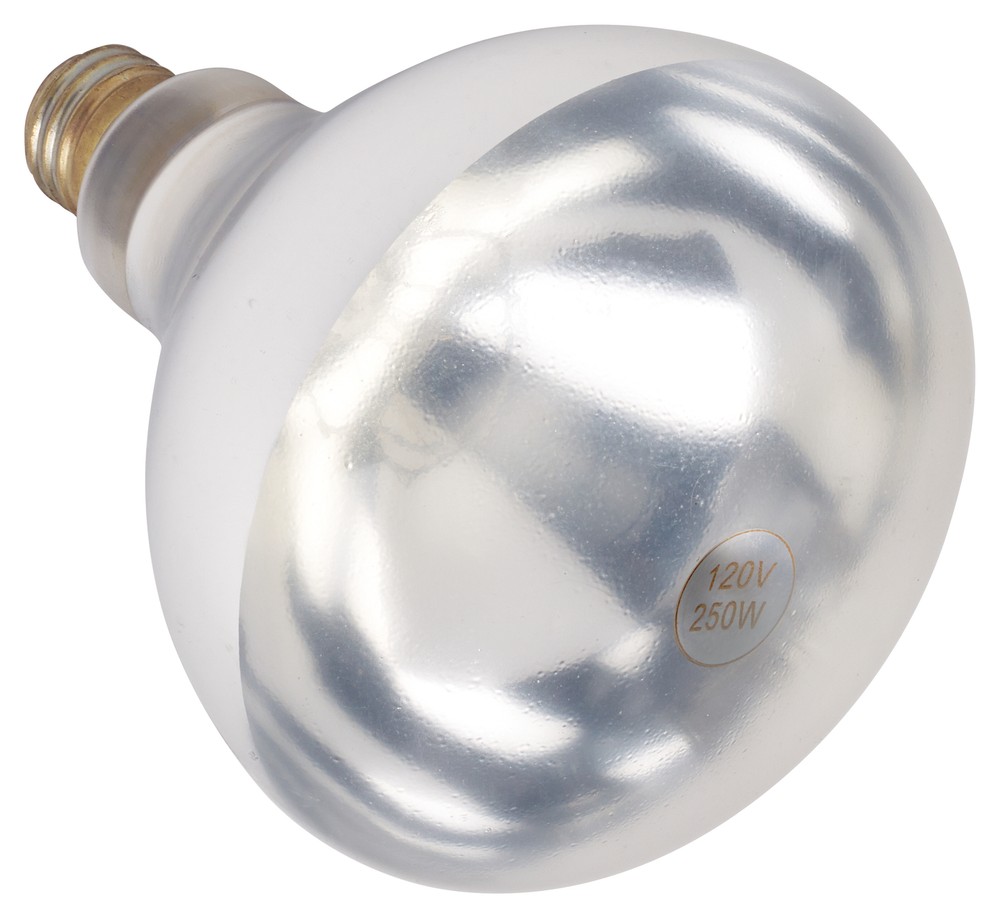 Shatter-Resistant Bulb, White, 250W (12 Each)